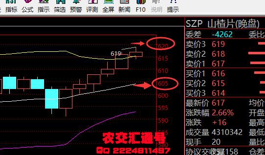 农交汇通号行情分析