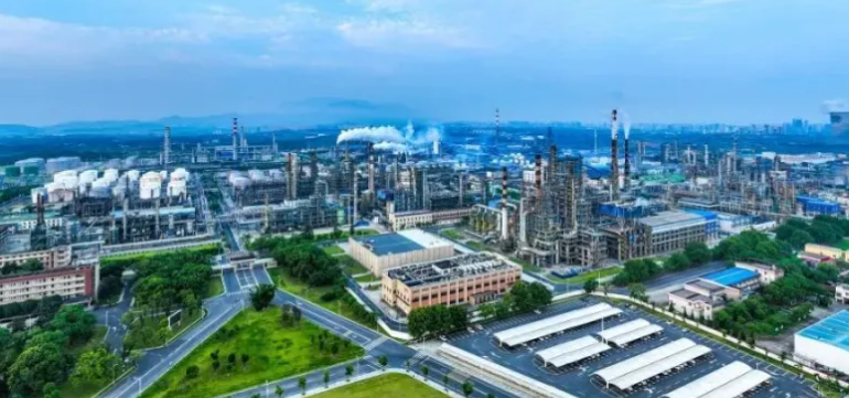 2024年盛通四方商城农特产品交易规模与品类增长数据观察